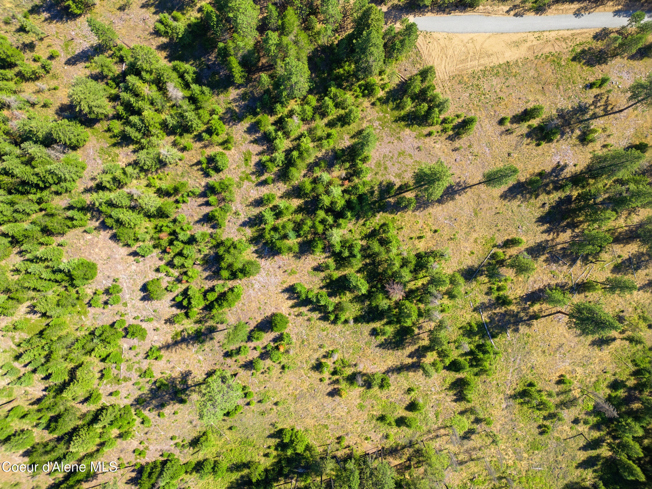 Nna Poirier Road Blanchard, ID 83804 - Photo 17 of 28 19_dji_0661