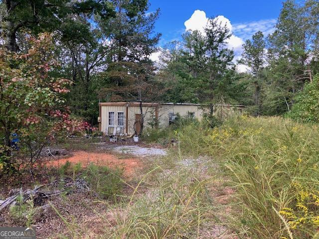 a view of backyard of house