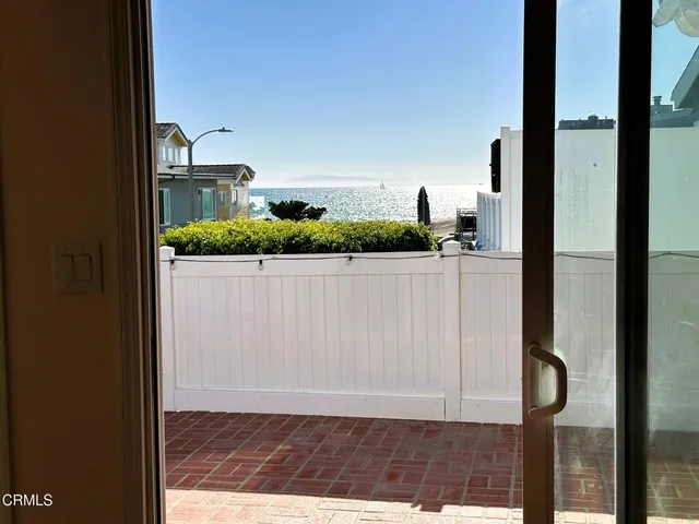 a view of potted plants