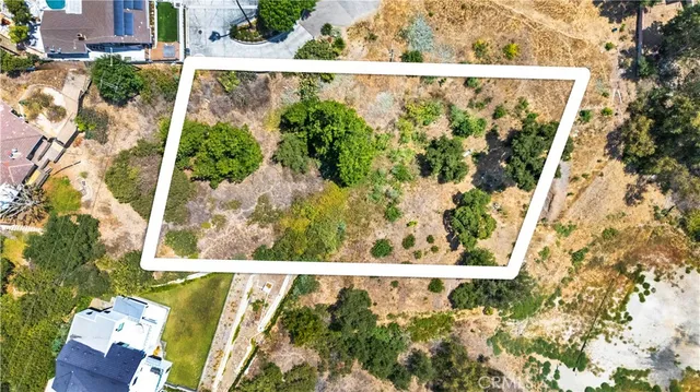 a view of a bunch of trees