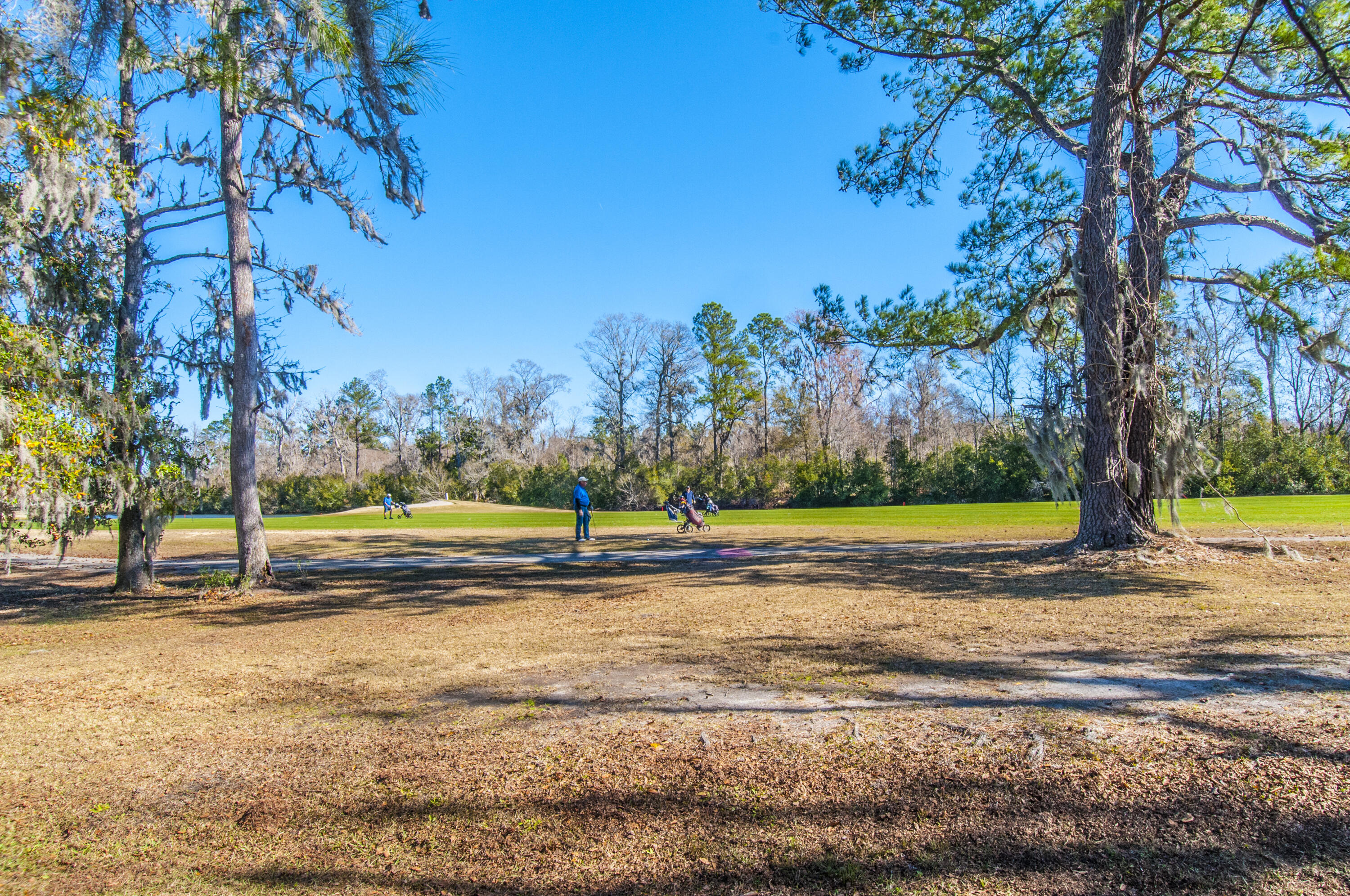 99 Fieldfare Way Charleston, SC 29414 - Photo 55 of 68 _DSC4666