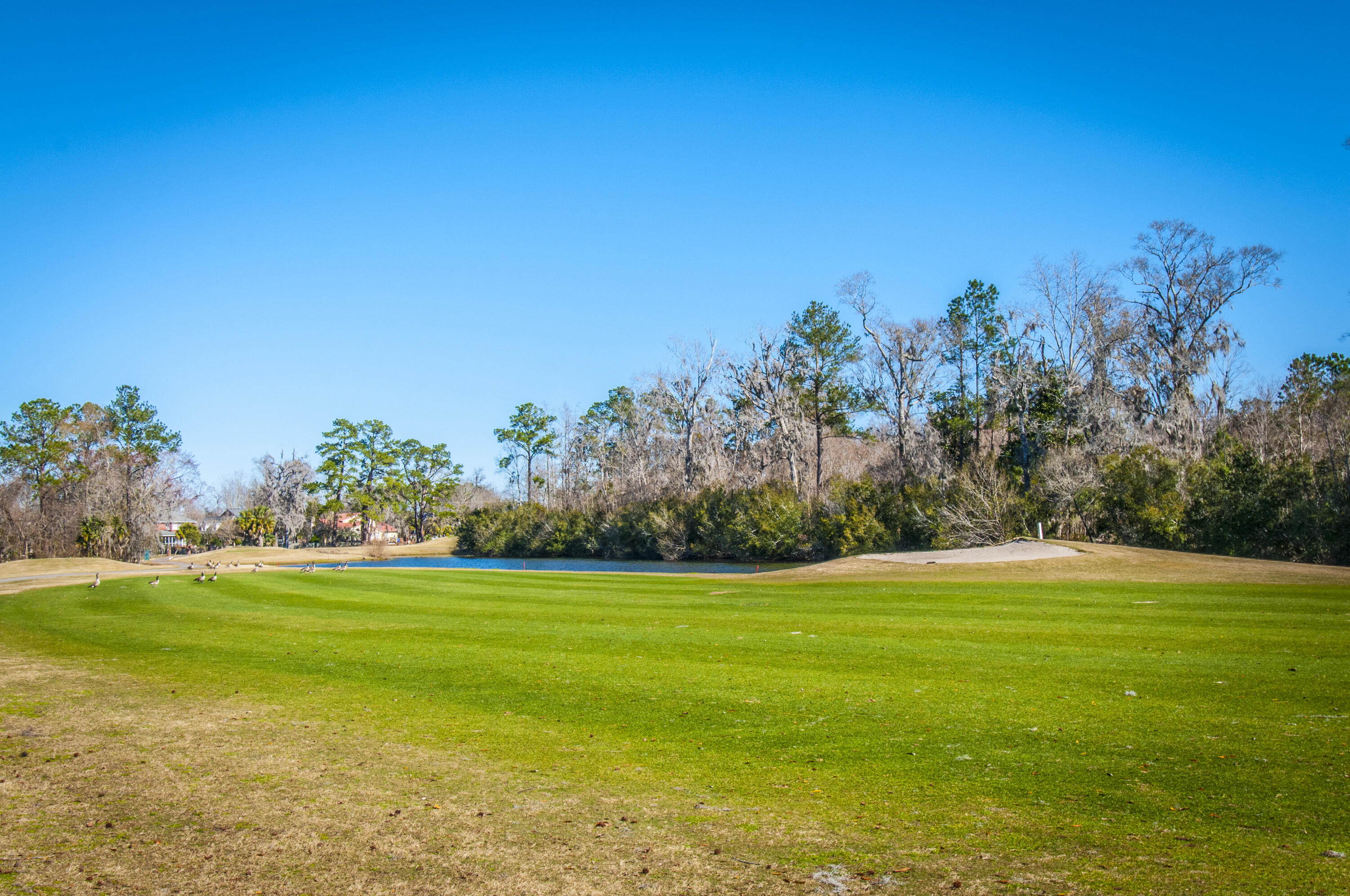 99 Fieldfare Way Charleston, SC 29414 - Photo 56 of 68 _DSC4670