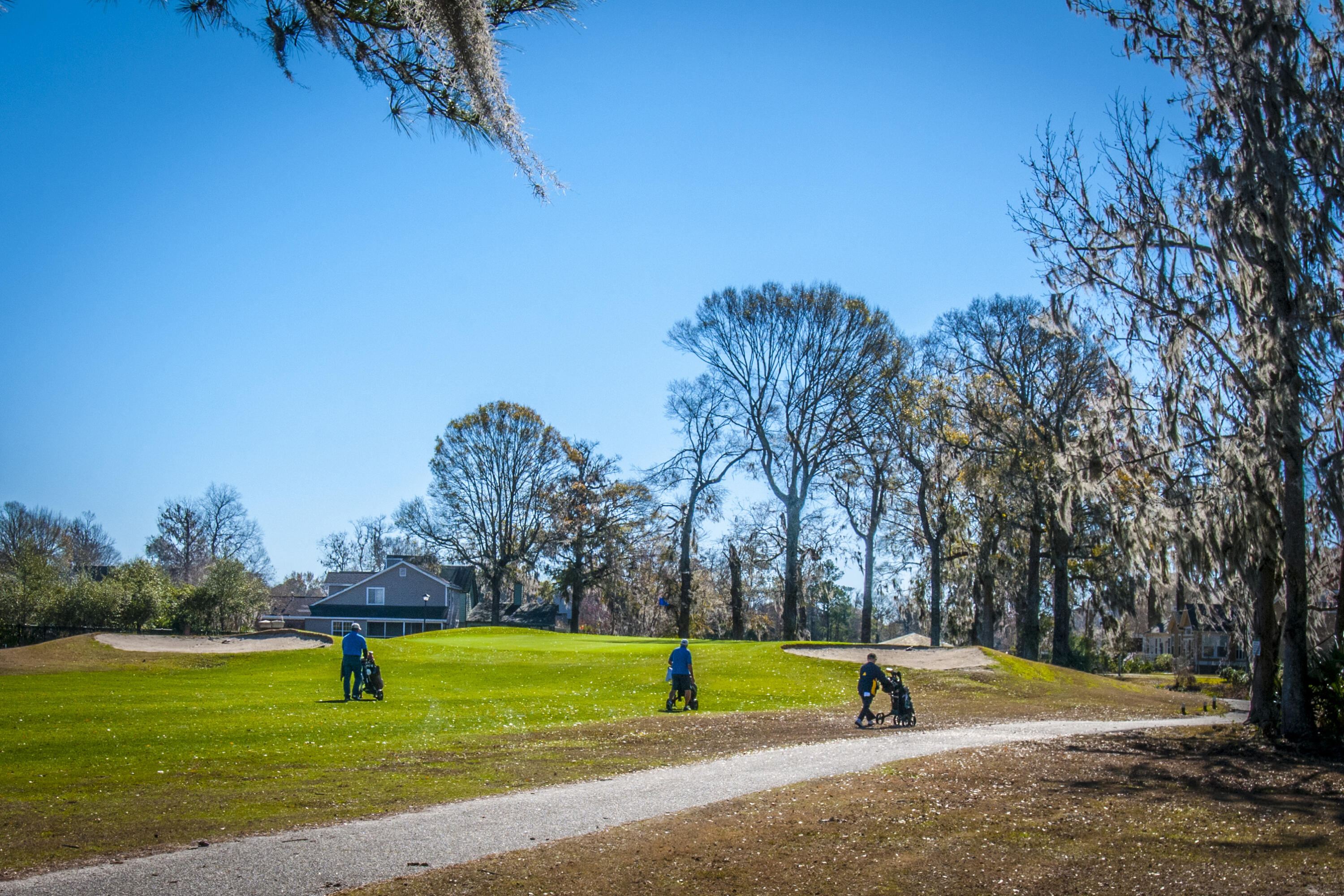 99 Fieldfare Way Charleston, SC 29414 - Photo 59 of 68 _DSC4678
