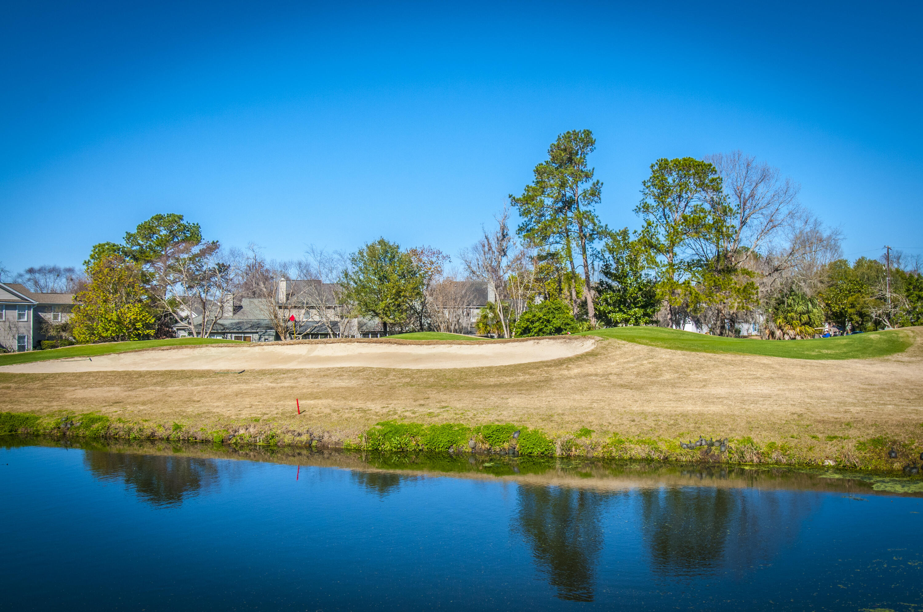 99 Fieldfare Way Charleston, SC 29414 - Photo 60 of 68 _DSC4680
