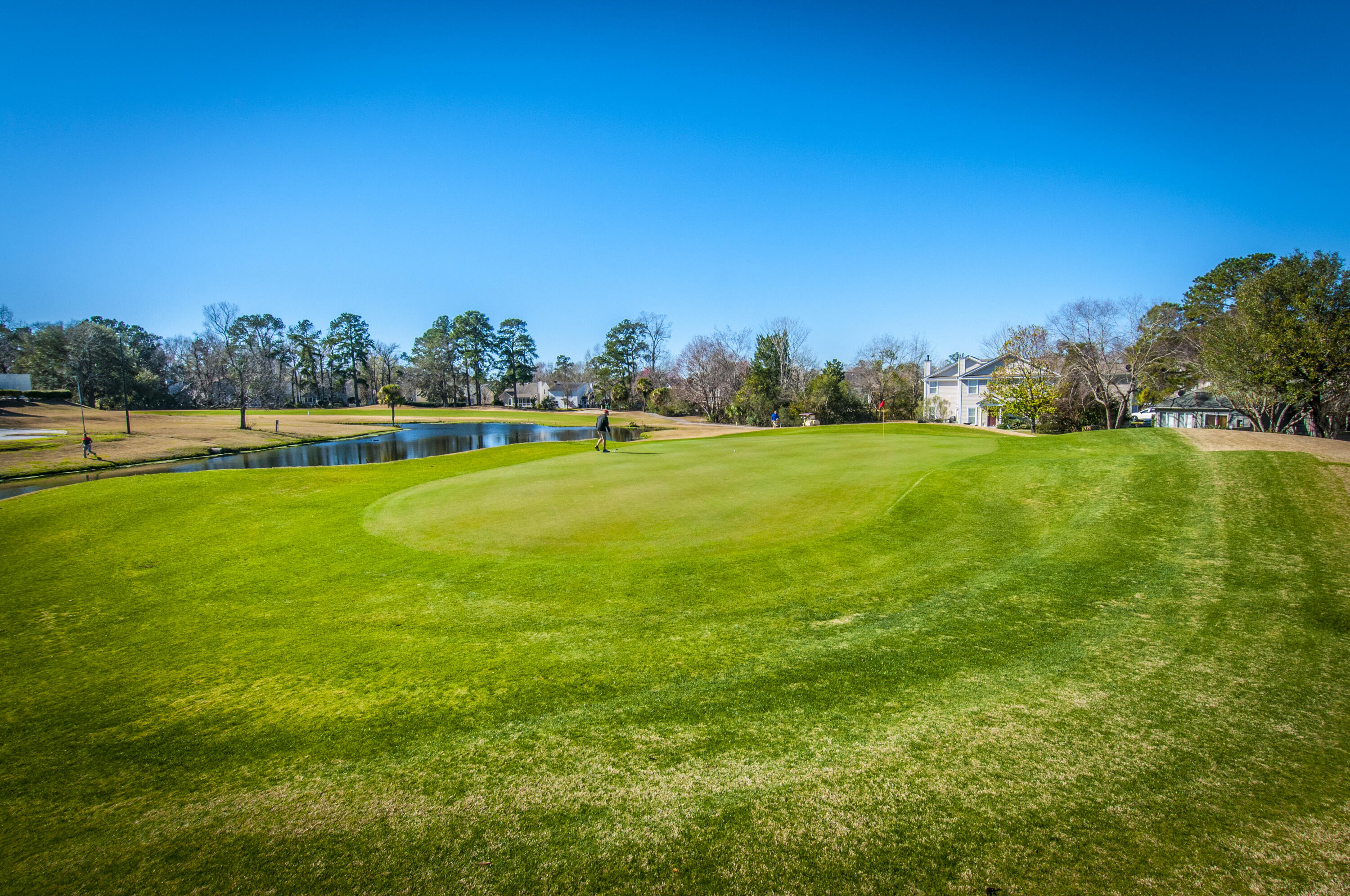 99 Fieldfare Way Charleston, SC 29414 - Photo 62 of 68 _DSC4682