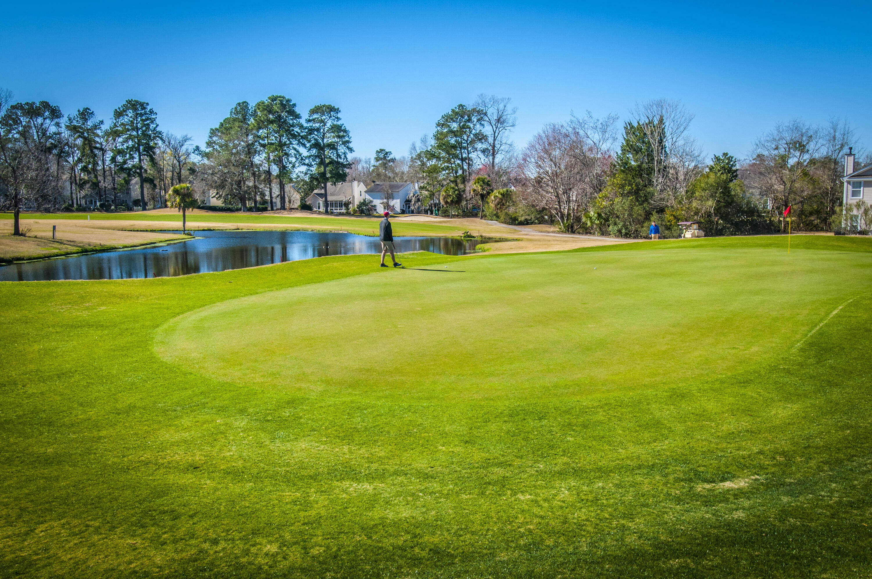 99 Fieldfare Way Charleston, SC 29414 - Photo 63 of 68 _DSC4686