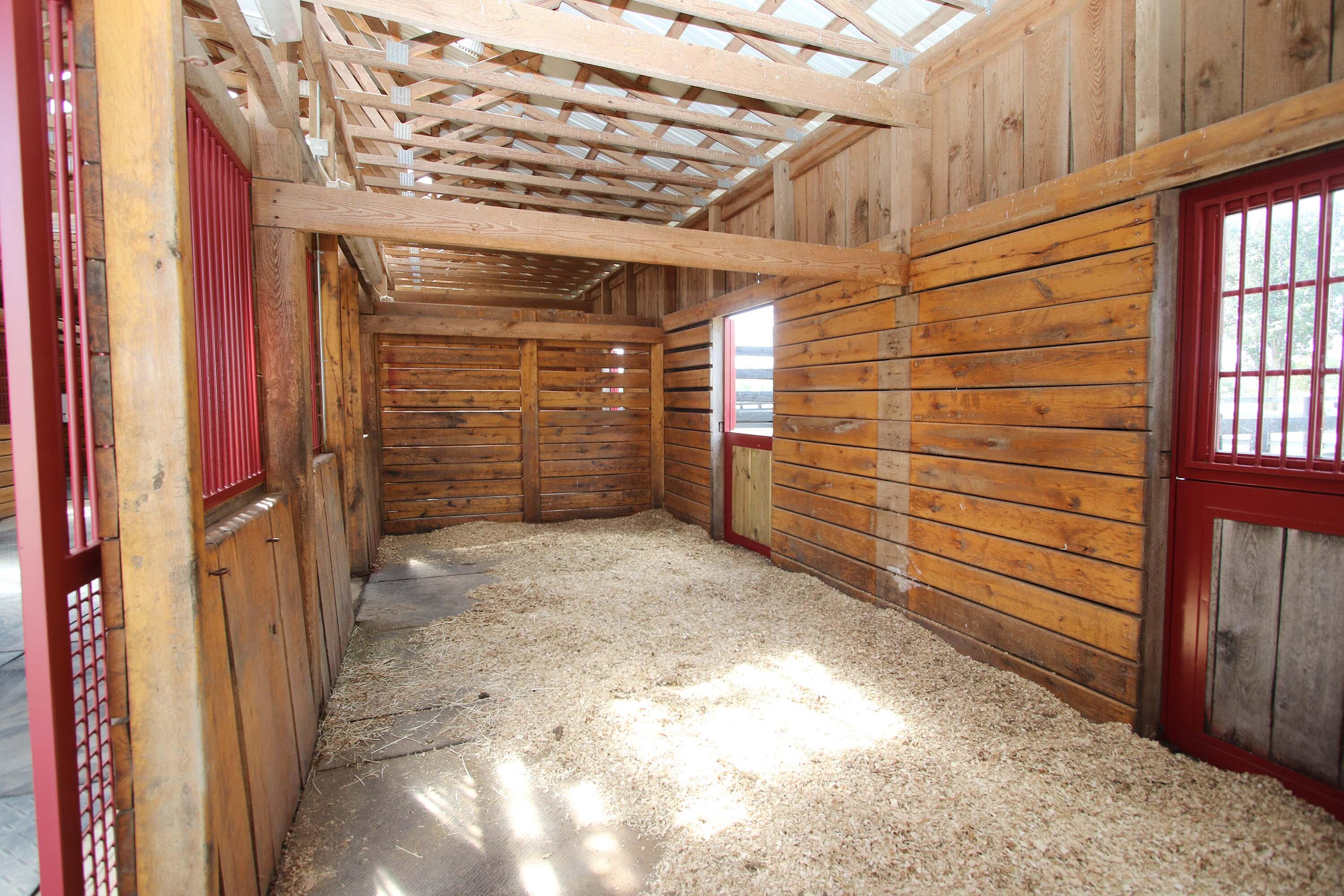283 Leesburg Road Georgetown, KY 40324 - Photo 25 of 60 Each stall can be converted to 12' x 24'.