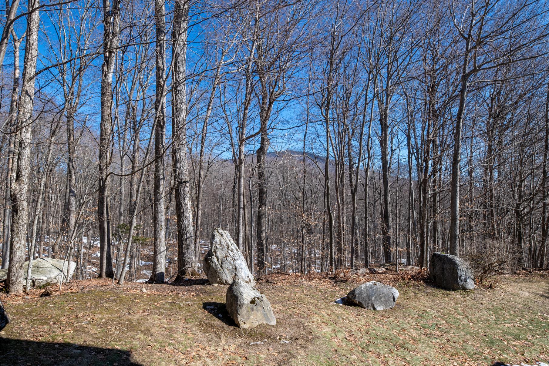 202 Eagle Rise Road, Unit 16 Manchester, VT 05255 - Photo 27 of 32