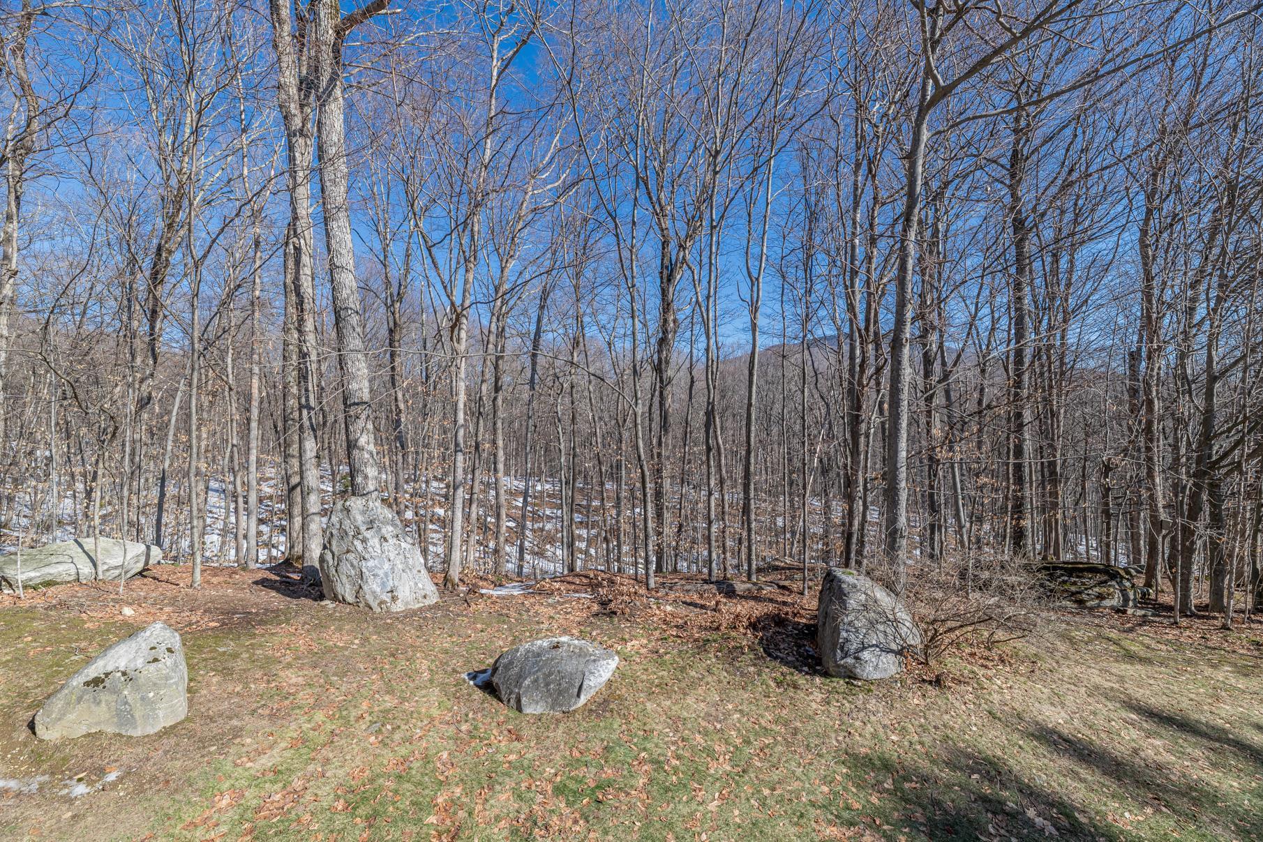 202 Eagle Rise Road, Unit 16 Manchester, VT 05255 - Photo 30 of 32