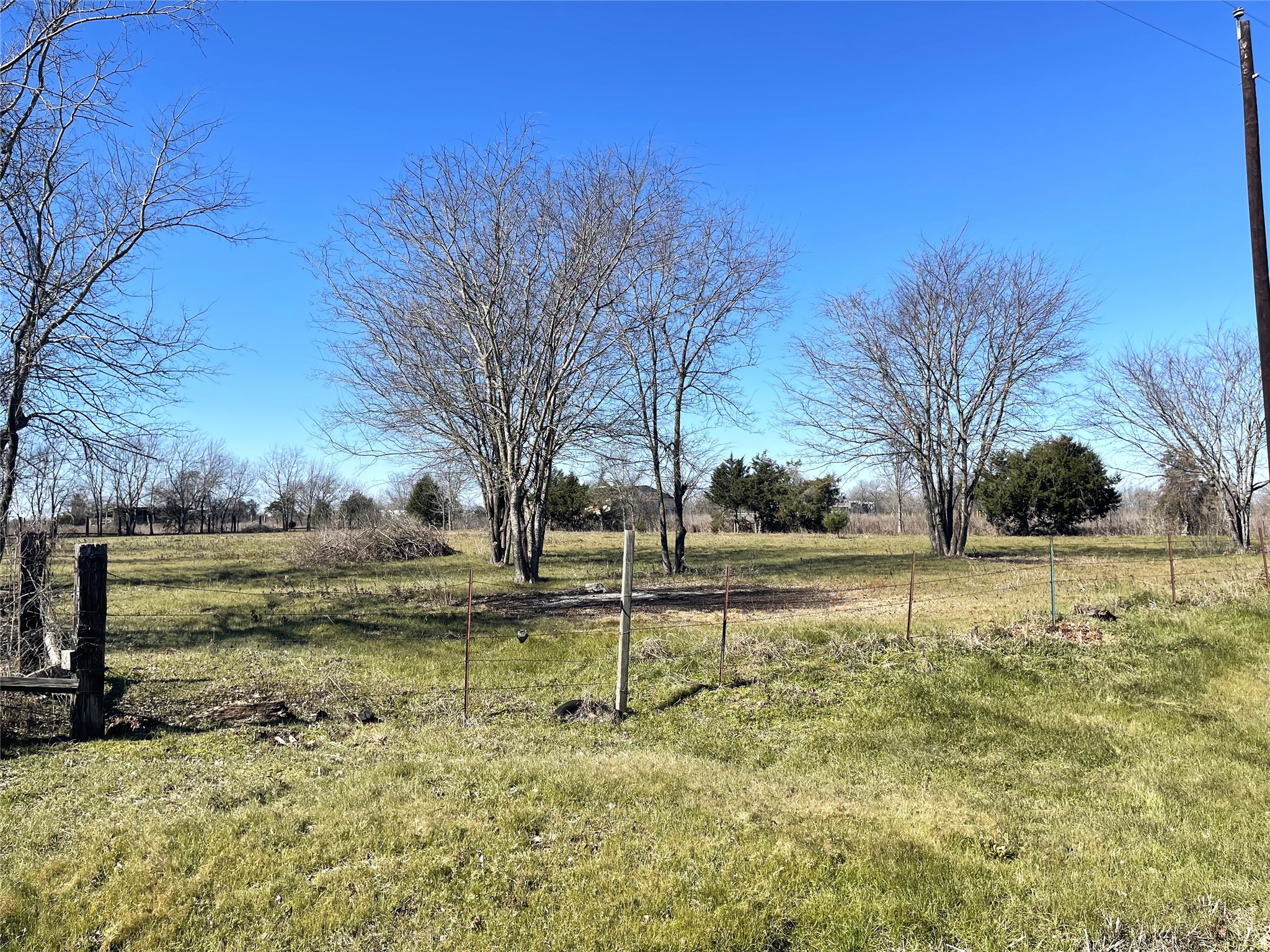 75 State Highway 75 South Teague, TX 75860 - Photo 4 of 6 a view of backyard with wooden fence and large trees