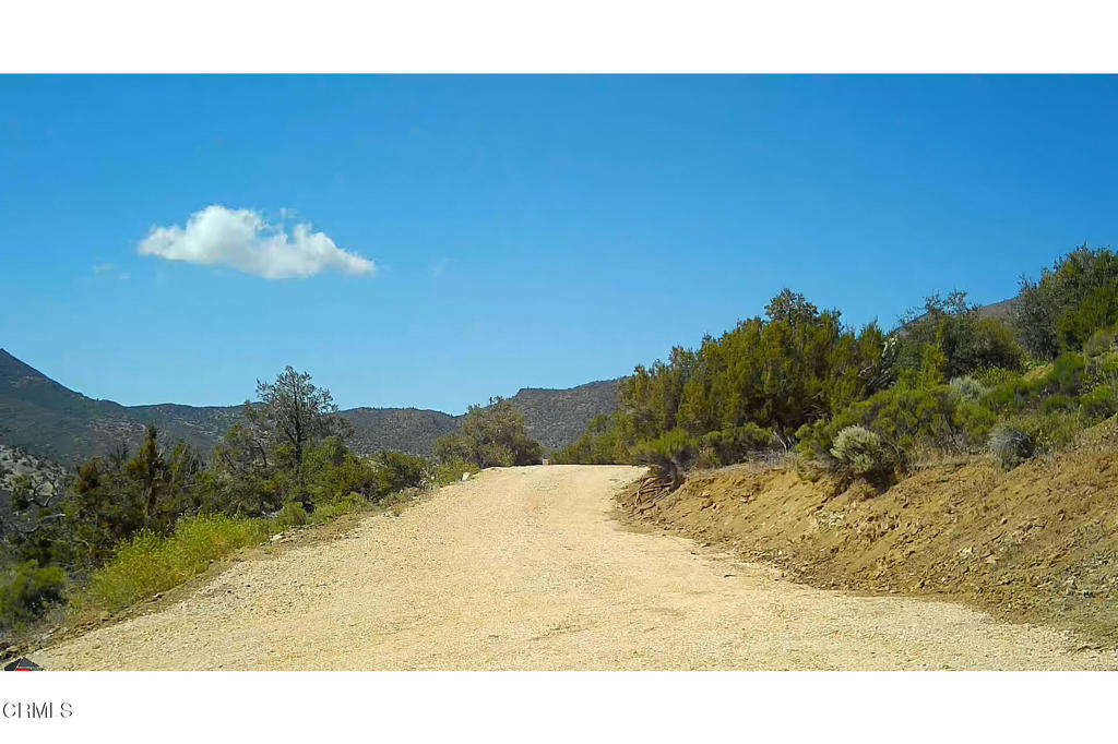 a view of a dry yard