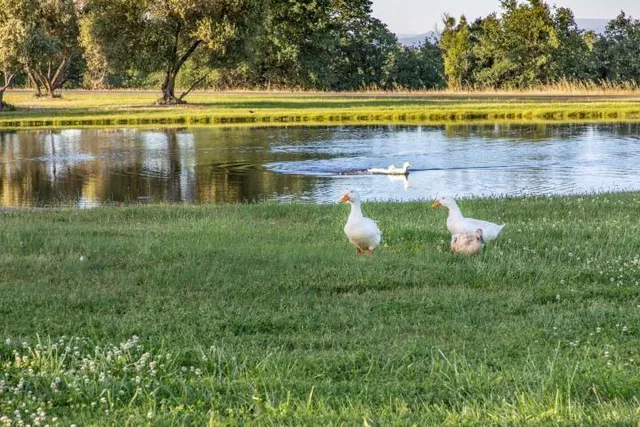 $459,000 | 22006 Carmelo Street, Cottonwood, CA 96022