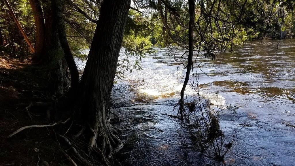 14-15 Haynes Road Wytopitlock, ME 04497 - Photo 21 of 31 River 2