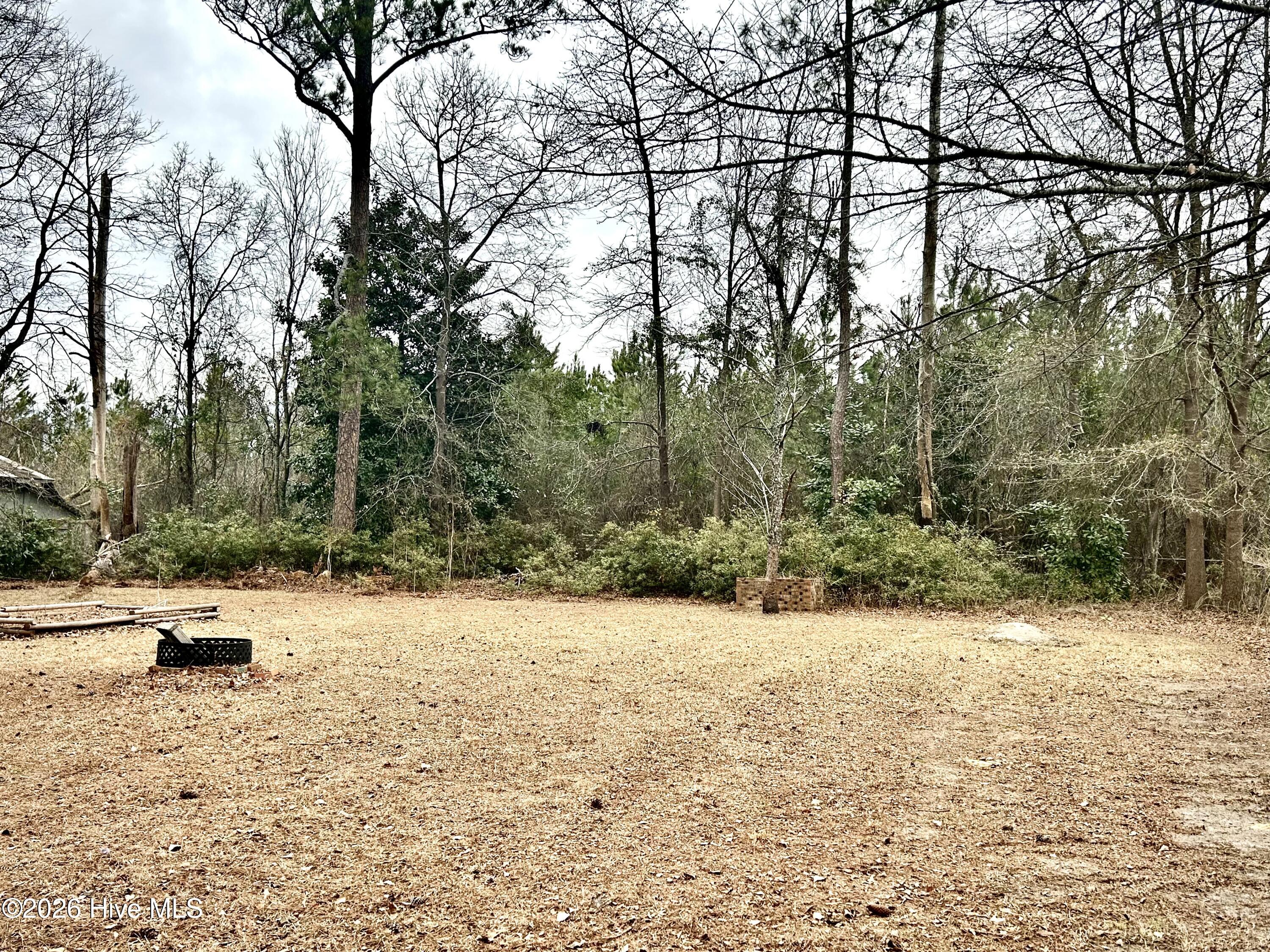 11401 Purcell Road Laurinburg, NC 28352 - Photo 26 of 34 IMG_0154