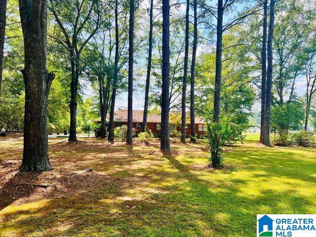 121 Carleton Point Lane Wilsonville, AL 35186 - Photo 64 of 84