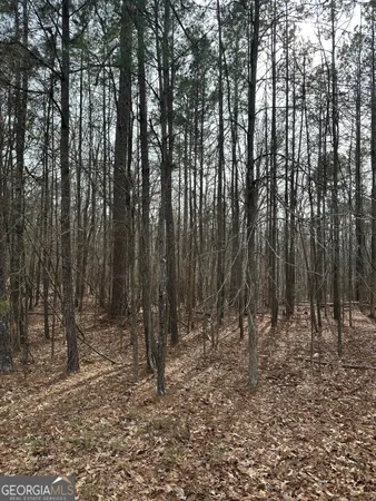 a view of outdoor space with lots of trees