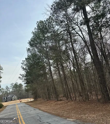 a view of outdoor space and yard