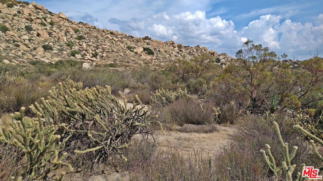 47650 Aguanga Ranchos Road Aguanga, CA 92536 - Photo 23 of 47 Gallery Image 23