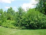 3346 Pepperhill Road Lexington, KY 40502 - Photo 40 of 57 Photo 40