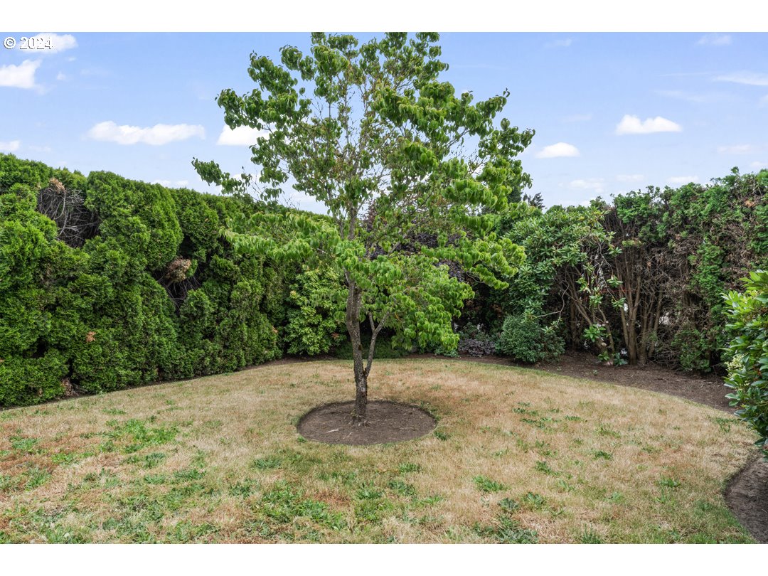 2150 Laura Street, Unit 212 Springfield, OR 97477 - Photo 29 of 37 a view of a tree in a yard
