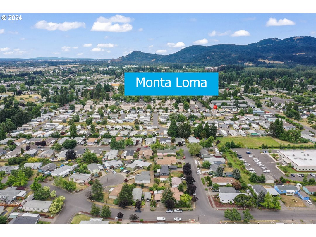 2150 Laura Street, Unit 212 Springfield, OR 97477 - Photo 36 of 37 a view of a city