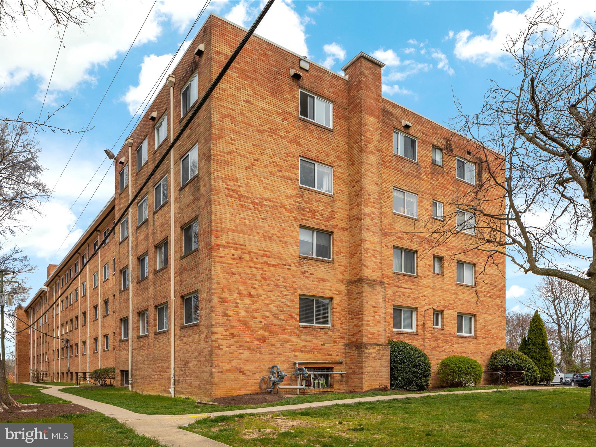 5101 8th Road South, Unit 101 Arlington, VA 22204 - Photo 34 of 46 2E6A6235_5101 8th Rd S _101 - Faraz Behvandi - Abs