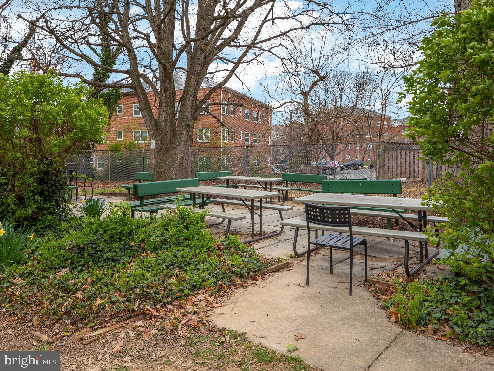 5101 8th Road South, Unit 101 Arlington, VA 22204 - Photo 43 of 46 2E6A6086_5101 8th Rd S _101 - Faraz Behvandi - Abs