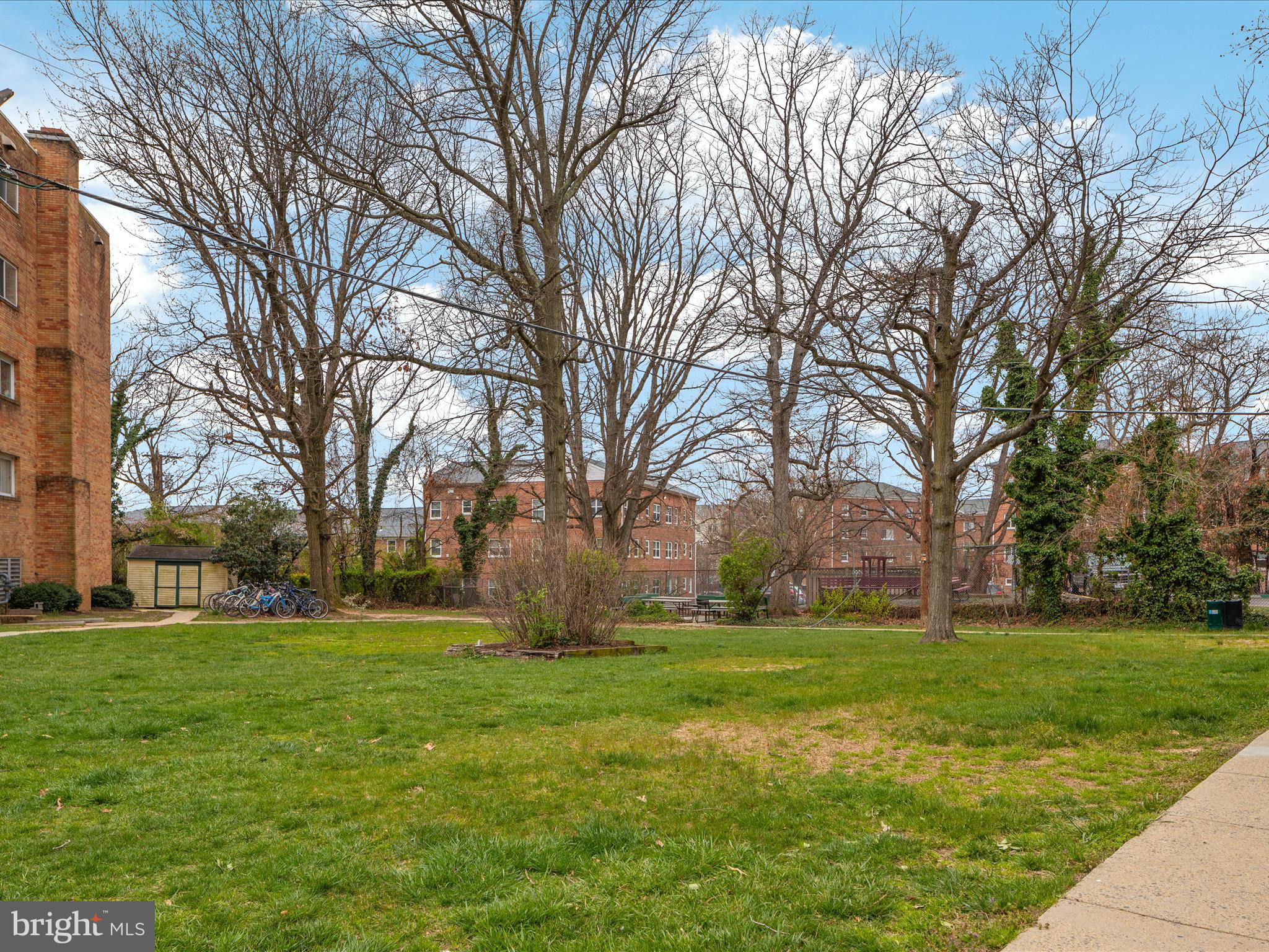 5101 8th Road South, Unit 101 Arlington, VA 22204 - Photo 45 of 46 2E6A6088_5101 8th Rd S _101 - Faraz Behvandi - Abs