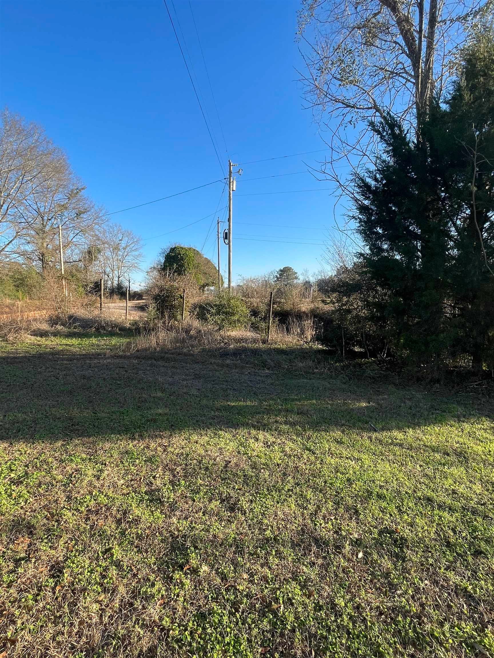0 George Boles Road Andalusia, AL 36421 - Photo 5 of 8 Gallery Image 5