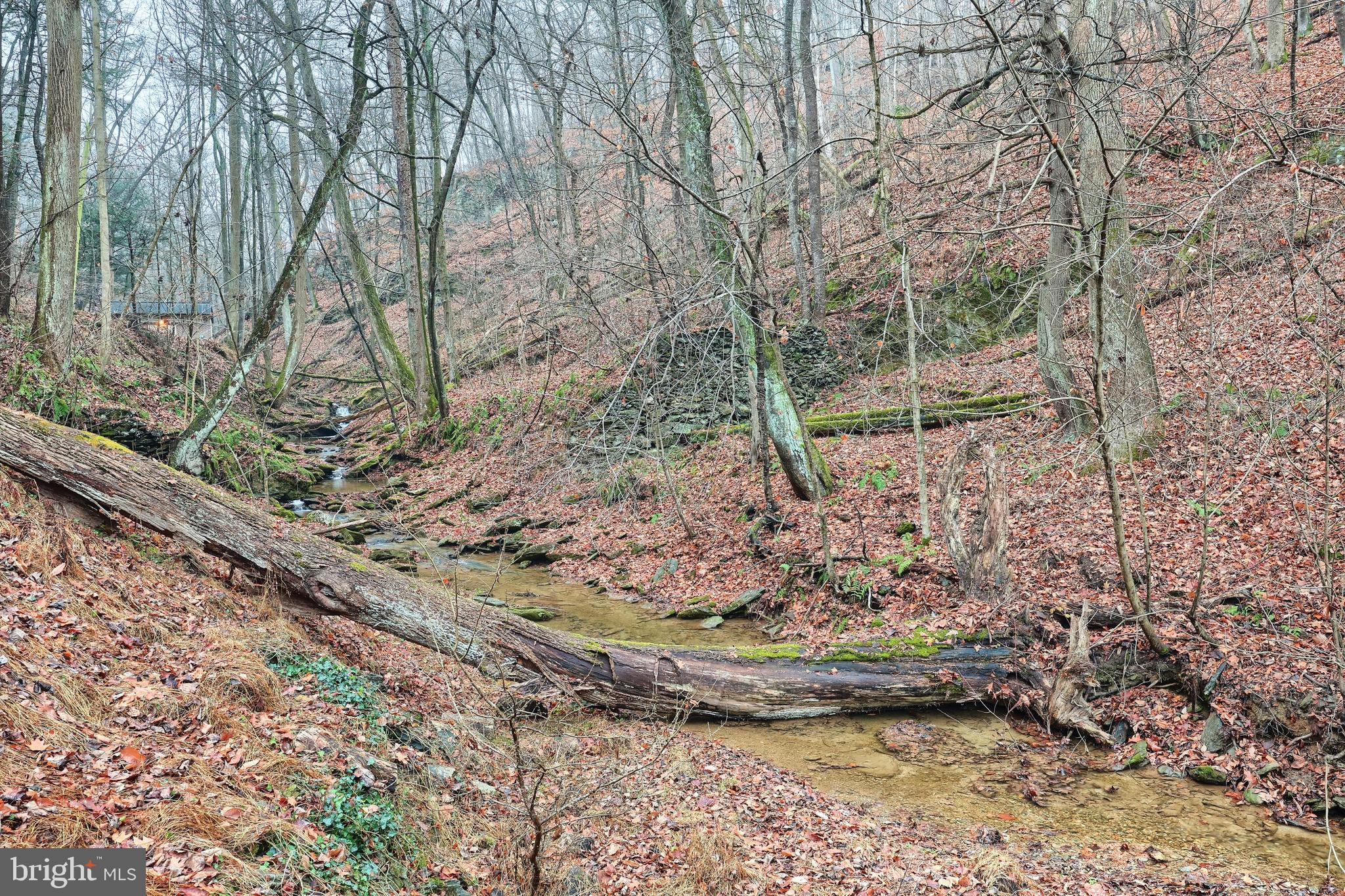 3315 Green Branch Road Red Lion, PA 17356 - Photo 4 of 47 Stream flowing Through