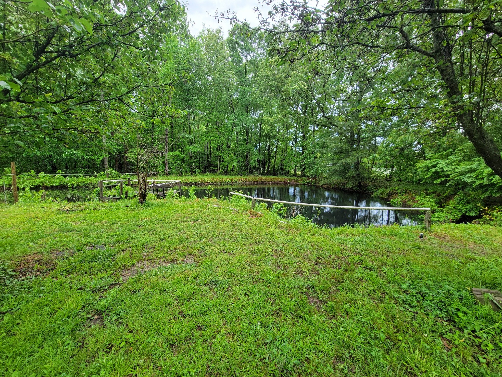 132 Gruett Road Manchester, TN 37355 - Photo 33 of 36 a view of backyard with house and trees