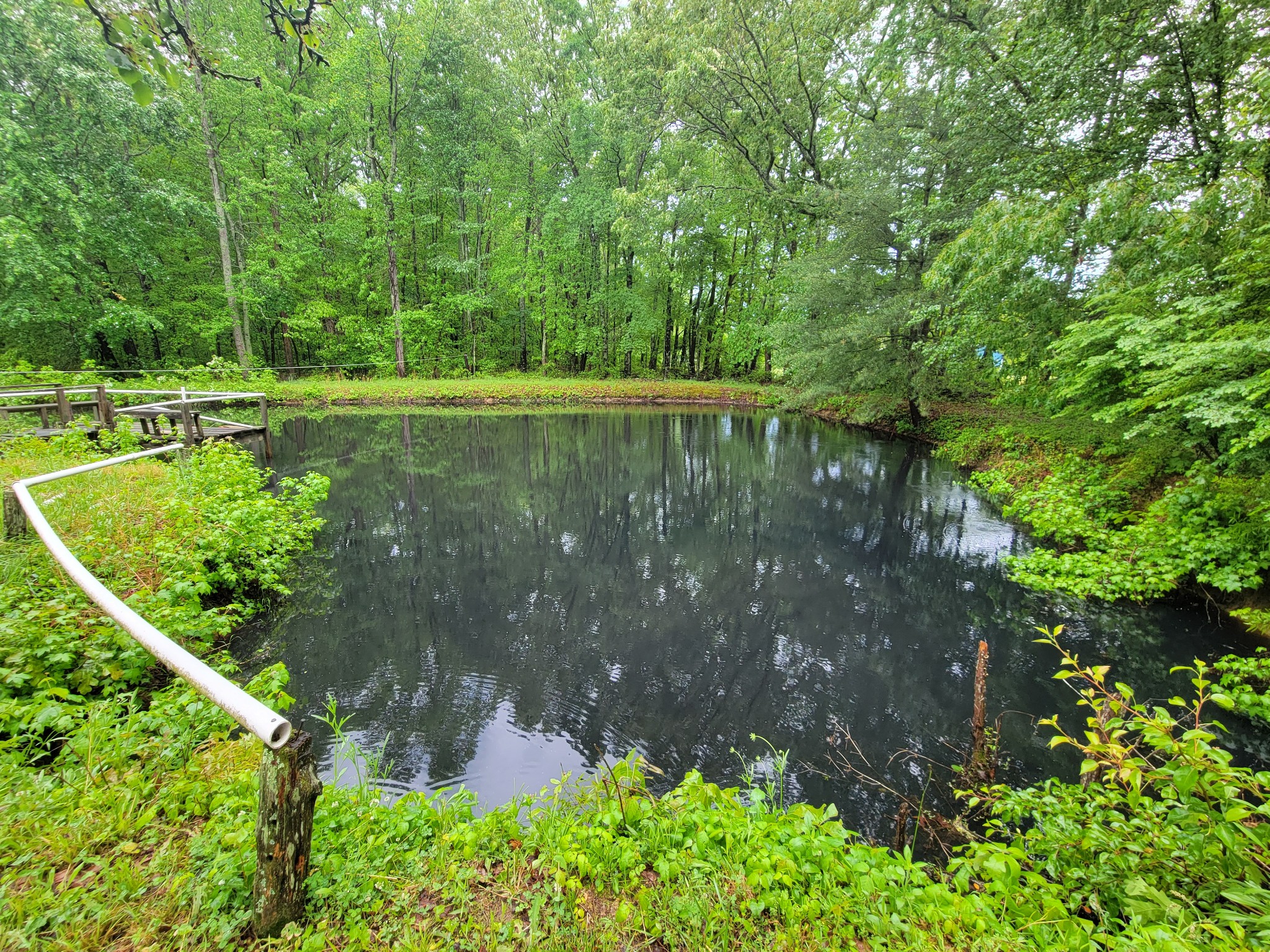 132 Gruett Road Manchester, TN 37355 - Photo 34 of 36 a view of a garden with a lake