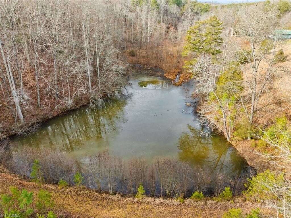 1721 Camp Dogwood Road Pinnacle, NC 27043 - Photo 48 of 50