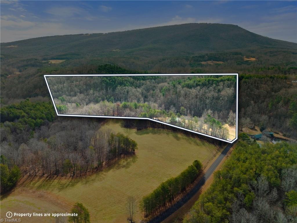 1721 Camp Dogwood Road Pinnacle, NC 27043 - Photo 50 of 50