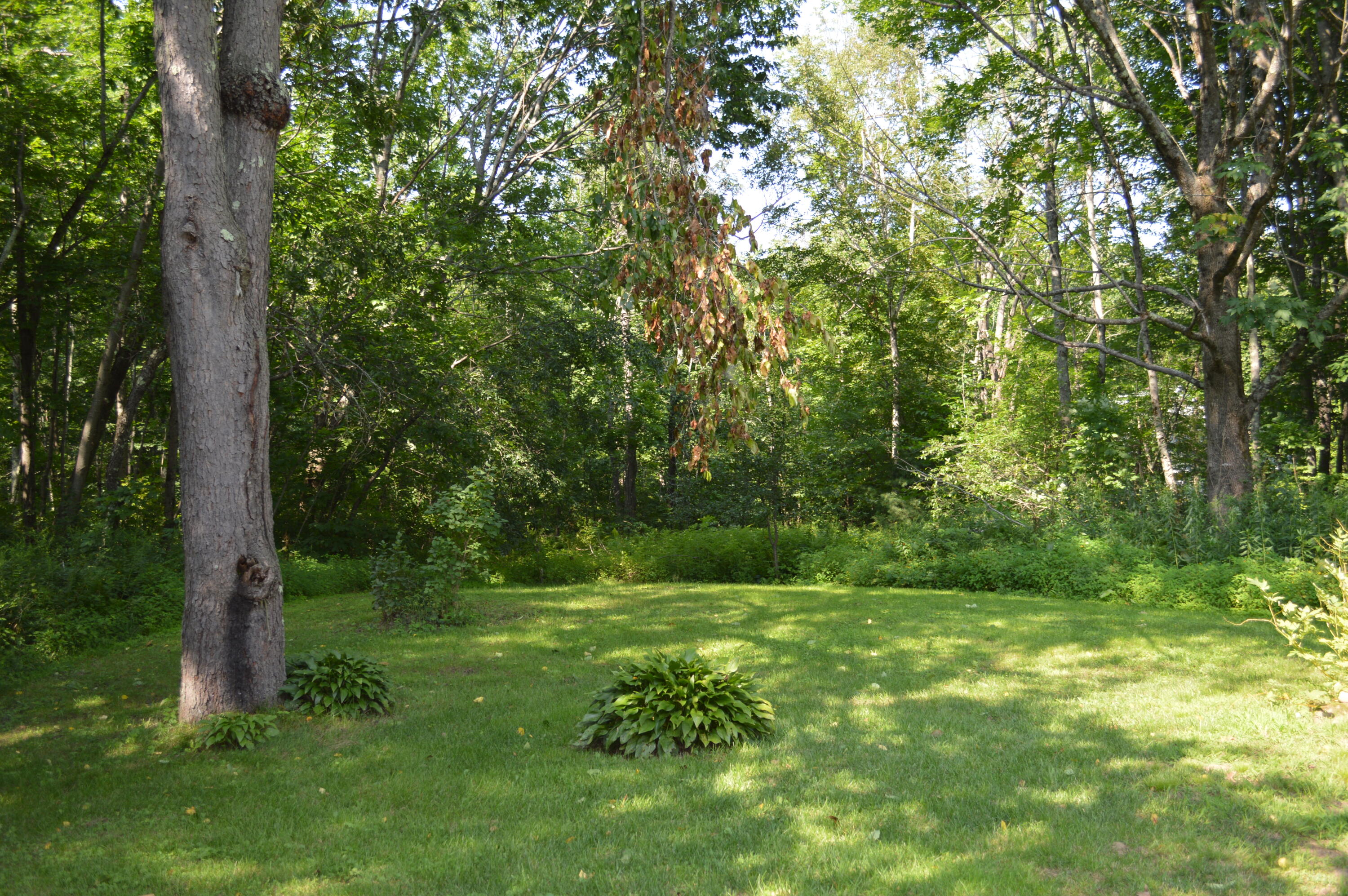 59 North Mountain Road Greene, ME 04236 - Photo 30 of 30 DSC_1775