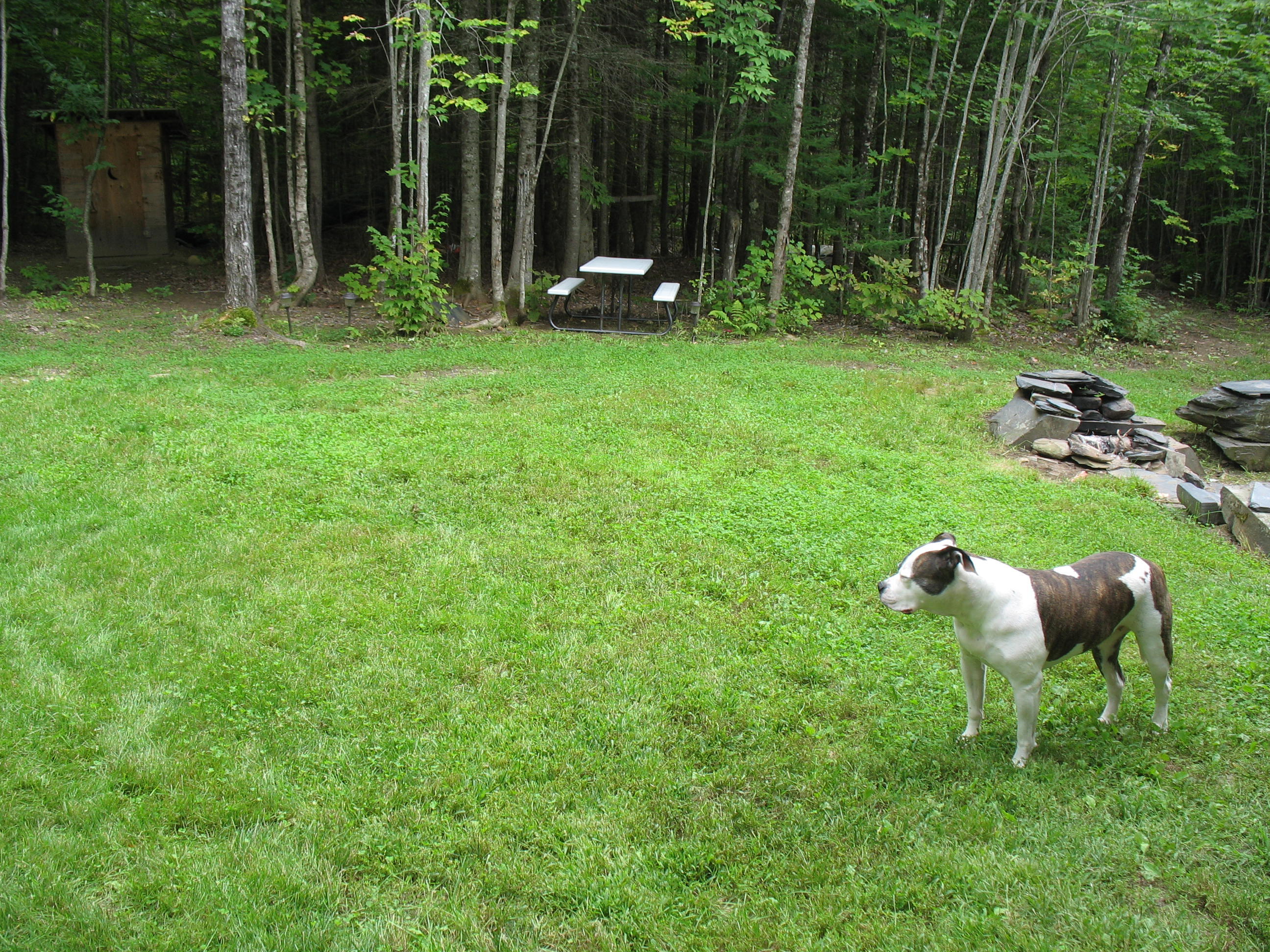 Map2-lt25 Smith Road Brownville, ME 04414 - Photo 27 of 32 IMG_1407
