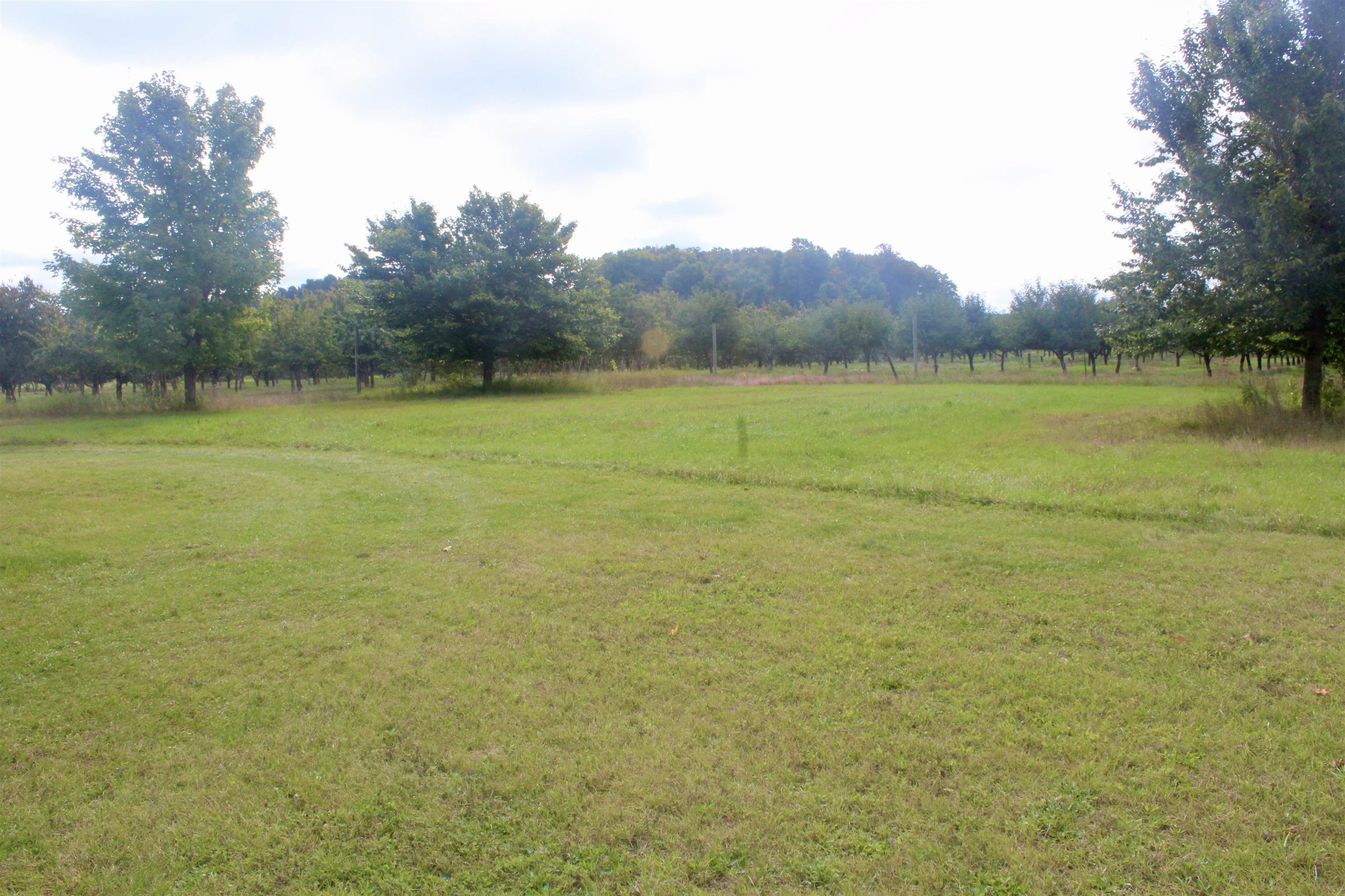 12833 McLachlan Road Kewadin, MI 49648 - Photo 8 of 12 Gallery Image 8