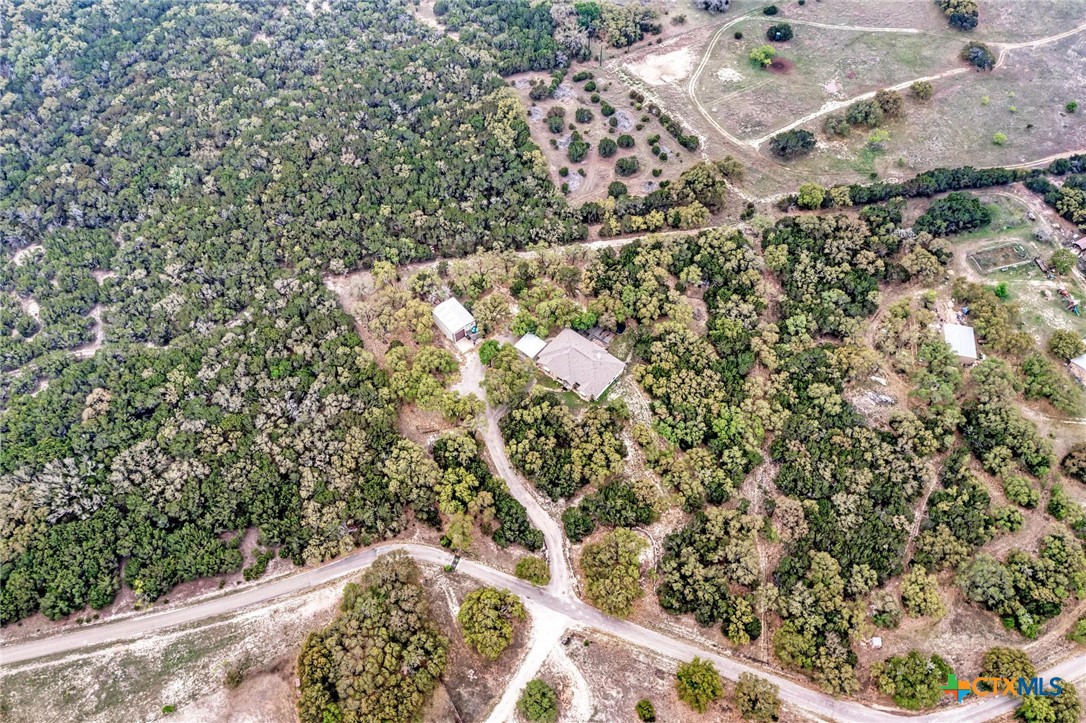 1325 County Road 106 Lampasas, TX 76550 - Photo 47 of 48 a view of plant with lots of trees