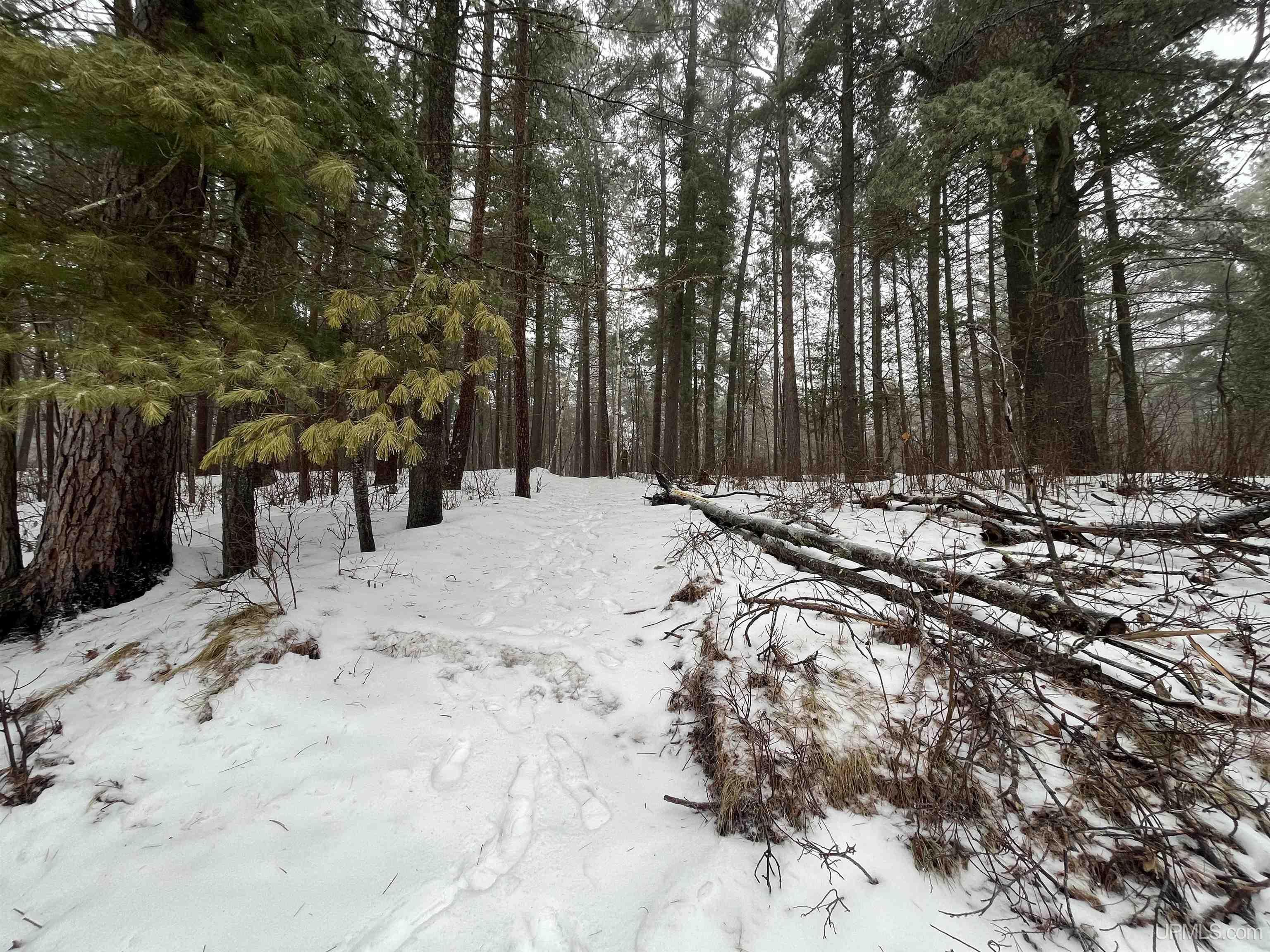 5365 Floodwood Road Republic, MI 49879 - Photo 45 of 53