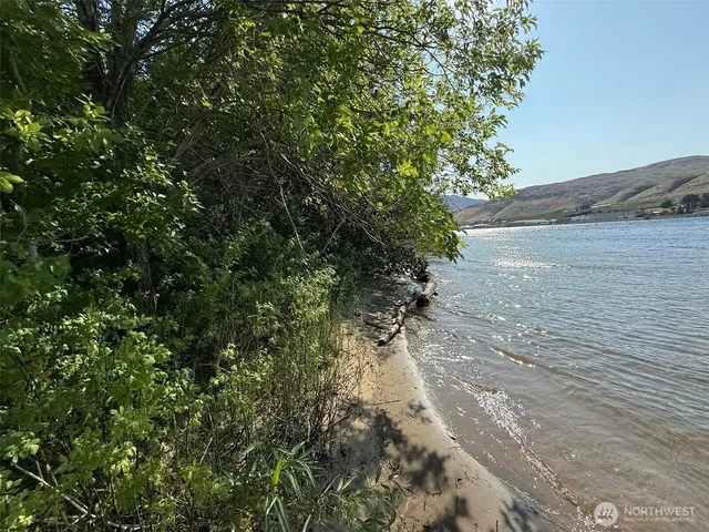 a view of a yard with plants and trees