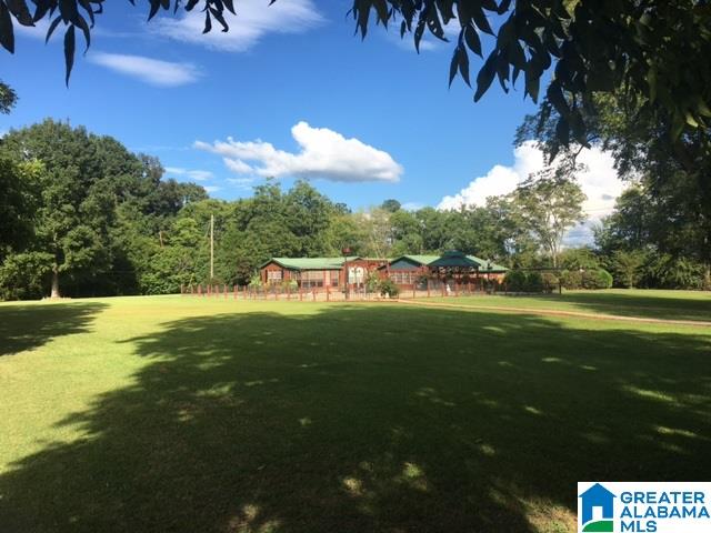 486 Azalea Street Steele, AL 35987 - Photo 2 of 18