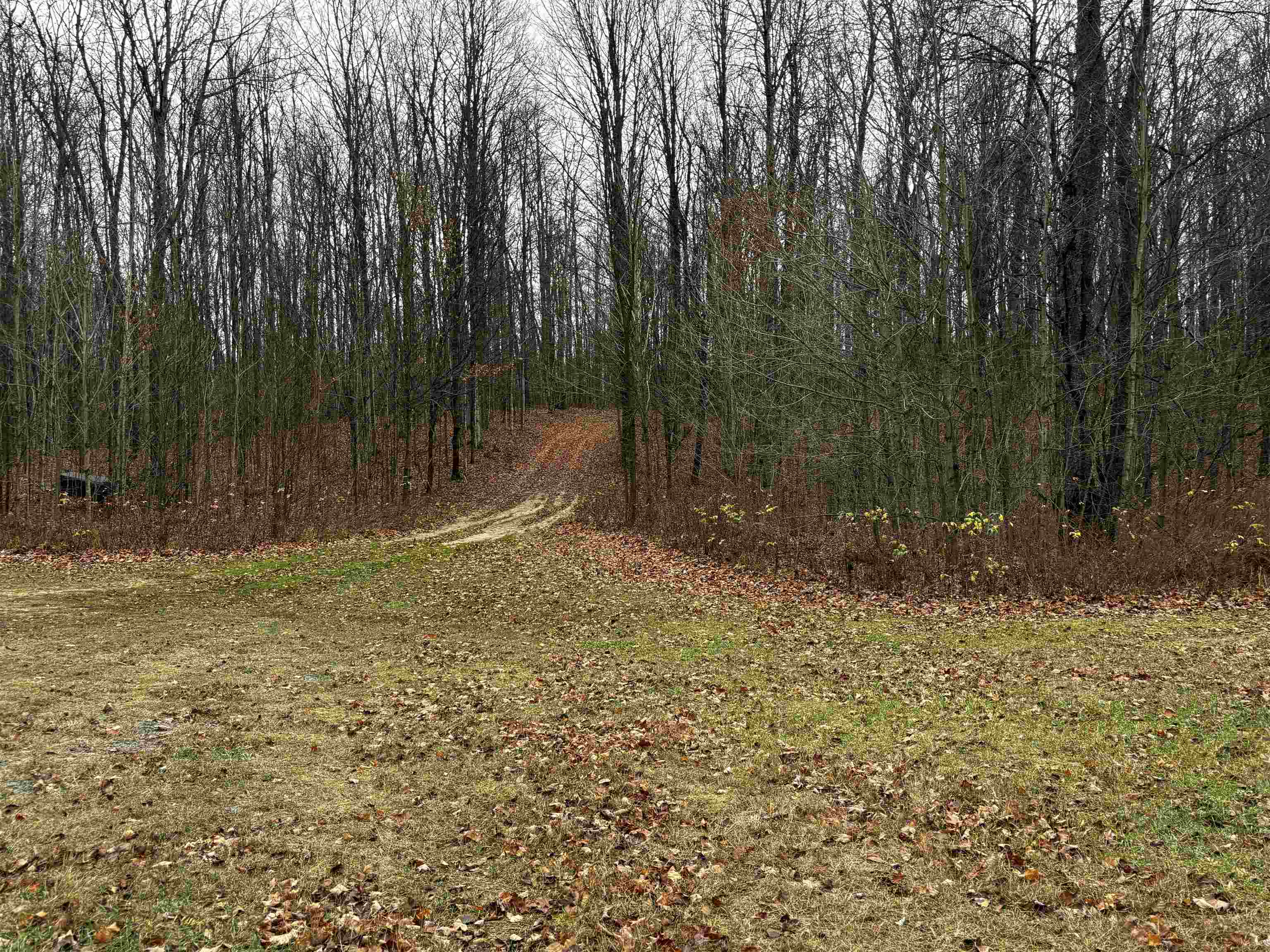 West Elder Road Mancelona, MI 49659 - Photo 13 of 28 Gallery Image 13