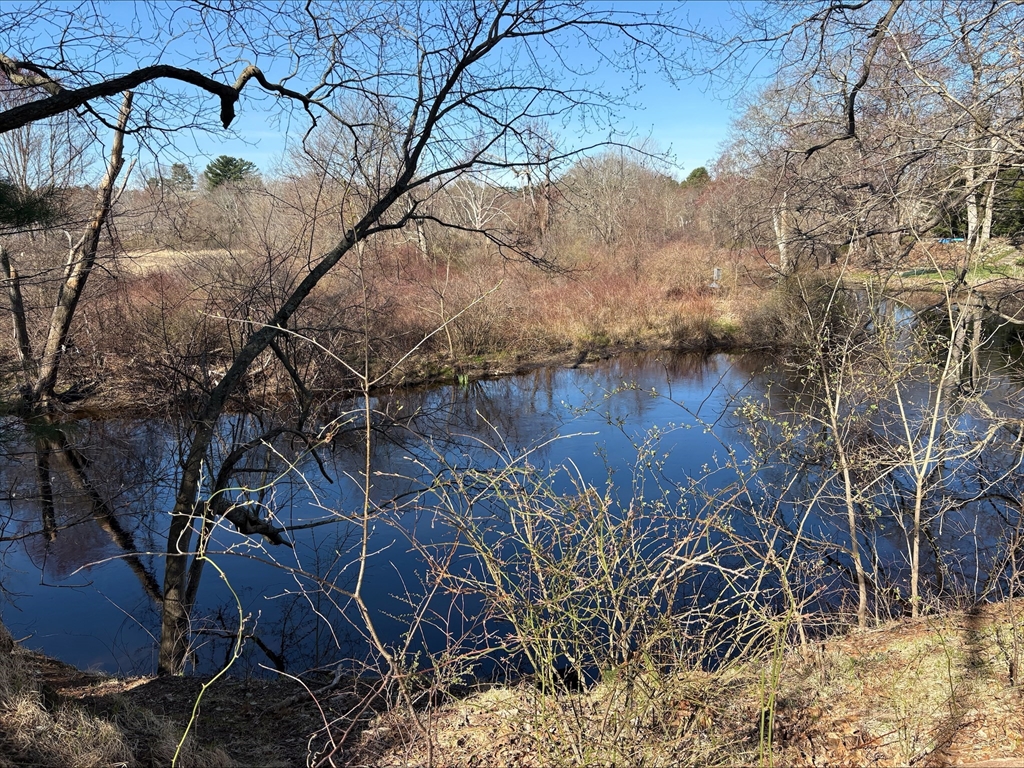 29 Willow Pond Circle, Unit 29 Medway, MA 02053 - Photo 35 of 38 a view of a backyard of the house