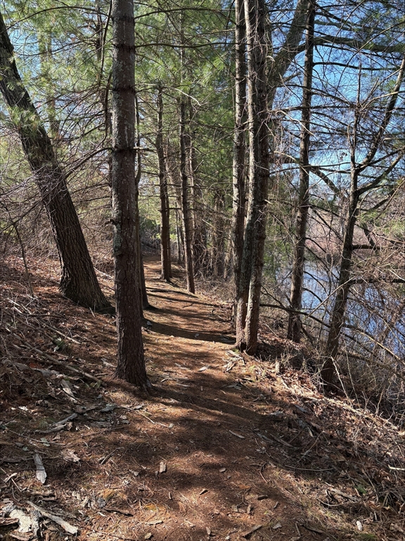 29 Willow Pond Circle, Unit 29 Medway, MA 02053 - Photo 38 of 38 a view of a forest with trees