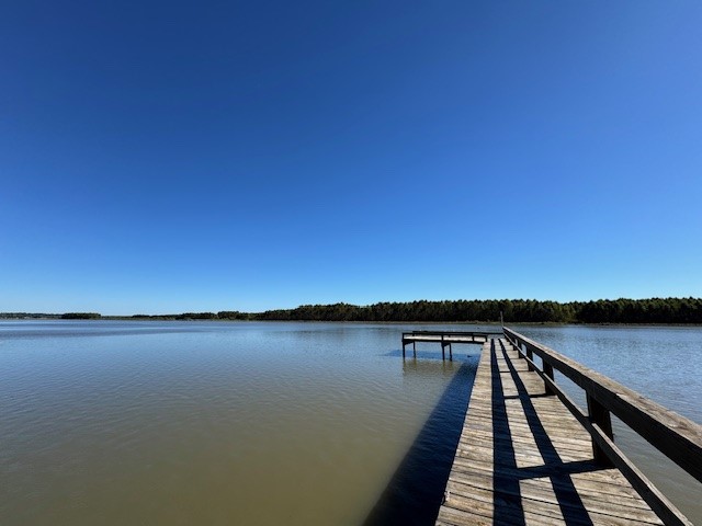 611 Cutter Drive Trinity, TX 75862 - Photo 11 of 12