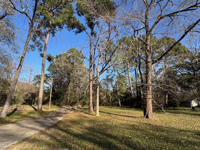 611 Cutter Drive Trinity, TX 75862 - Photo 2 of 12