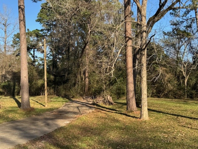 611 Cutter Drive Trinity, TX 75862 - Photo 3 of 12