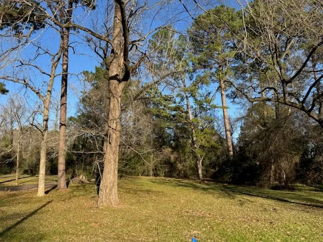 $25,000 | 611 Cutter Drive, Trinity, TX 75862