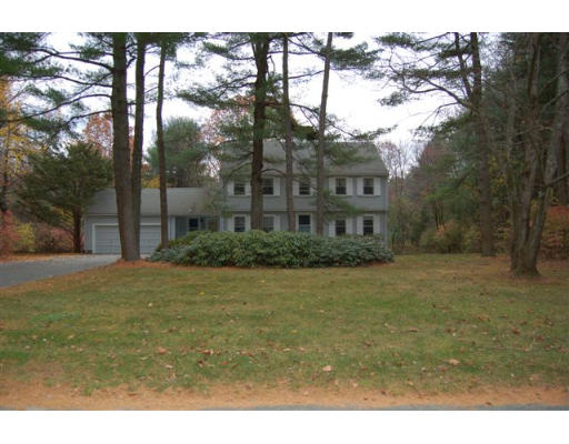 84 Whitman Road Needham, MA 02492 - Photo 3 of 4 Gallery Image 3
