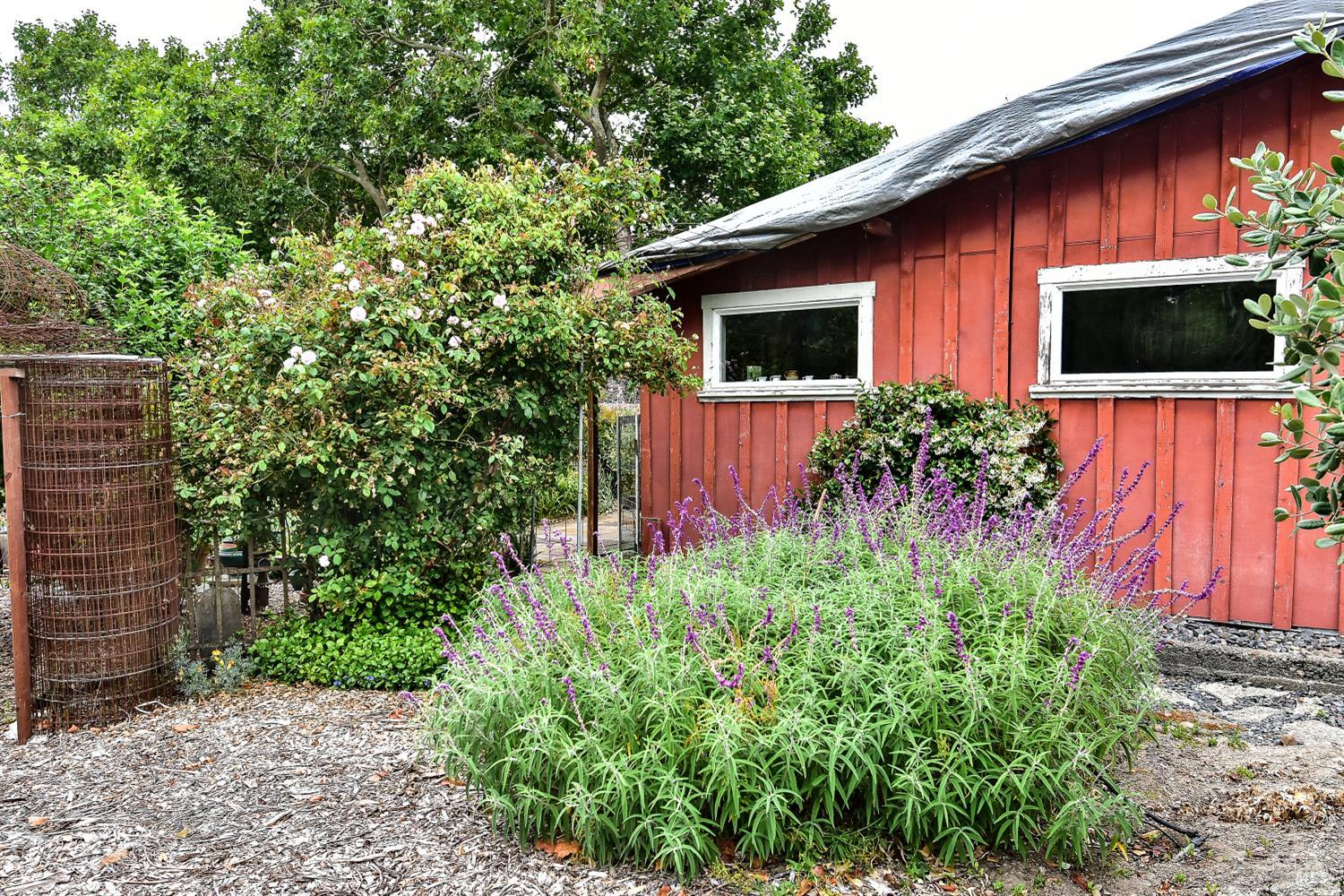 704 Bloomfield Road Sebastopol, CA 95472 - Photo 31 of 47